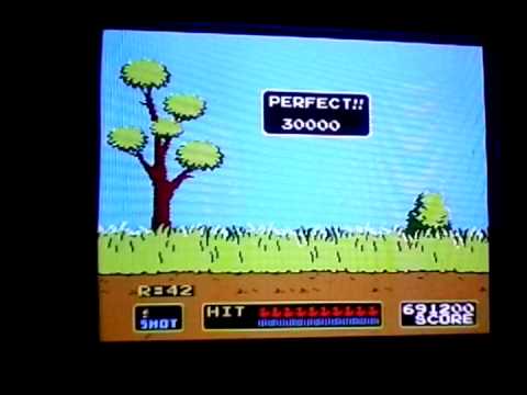 duck hunt nes dog