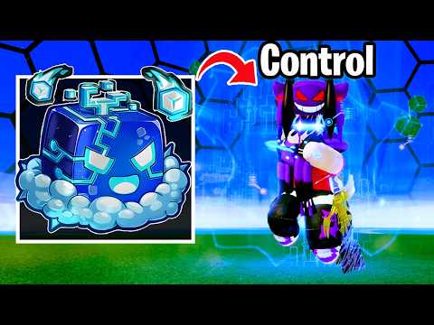 I FINALLY Got NEW OP CONTROL Fruit in Blox Fruits