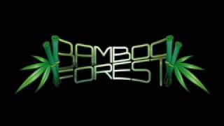 Bamboo forest - Still
