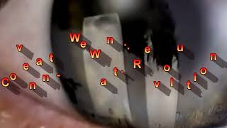 COVENANT   ~ WE WANT REVOLUTION #ebm