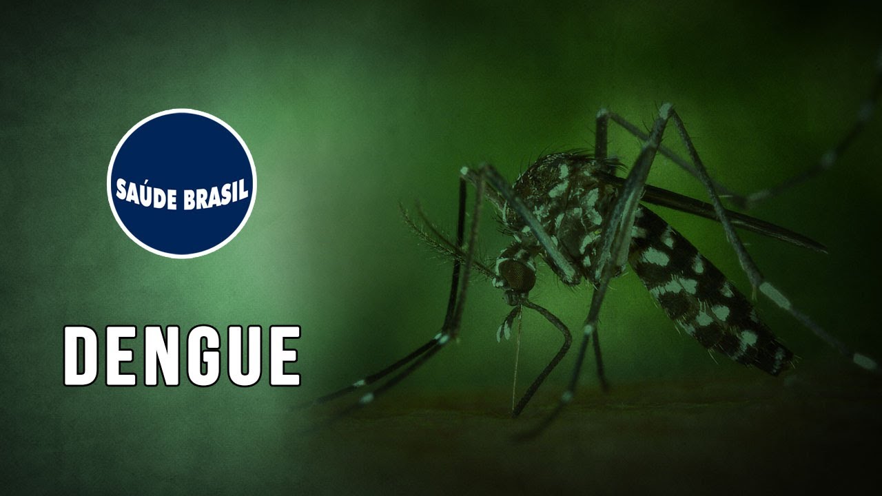 DENGUE | SÉRIE SAÚDE BRASIL