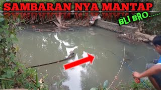 Download lagu Memancing ikan nilem di kali mp3