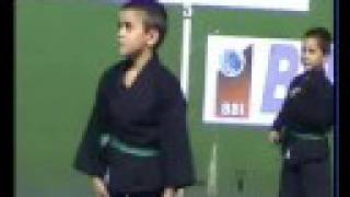 preview picture of video 'Pencak Silat - Silek Tuo - Galdakao Jaiak 2008 - Niños'