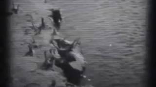 Like Lunatics - Modern Skirts