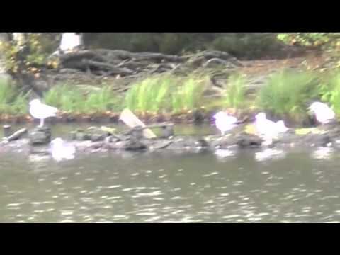 Pyöräilemässä osa 2