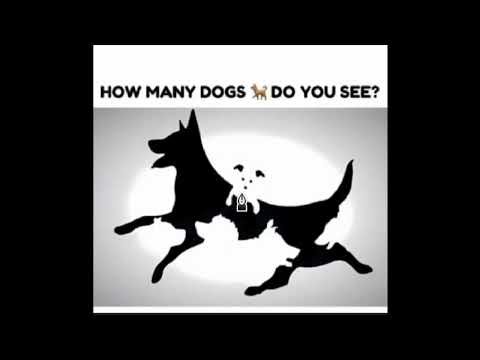 How many dogs are actually hidden in this image?