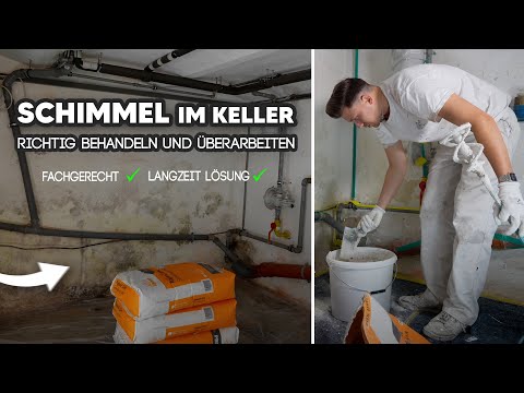 Remove mold and damp walls in the basement and renovate with renovation plaster (detailed instruc...