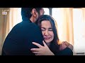 Mujhe Pyaar Hua Tha Episode 17 Best Scene Arydigital