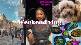 WEEKEND VLOG | bottomless sushi brunch, karaoke, new puppy, wholesome sunday family dinner & more