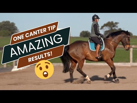 My Number One Tip To Canter On A Horse