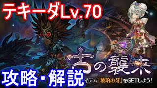 【探索70】テキーダLv 70攻略・解説【ミトラスフィア】