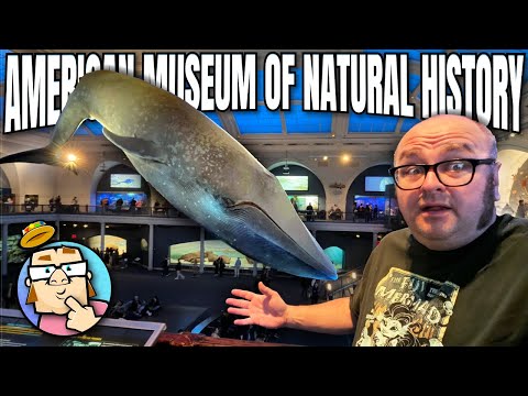 American Museum of Natural History - Sarge's Delicatessen New York, New York