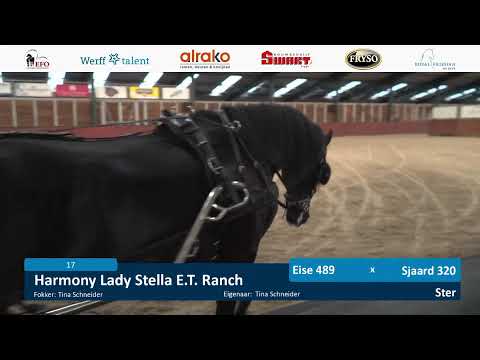 IBOP Wergea | 24 november 2022