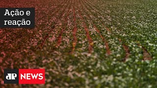 Ministério da Agricultura rebate Macron e diz que Brasil não “exporta desmatamento”