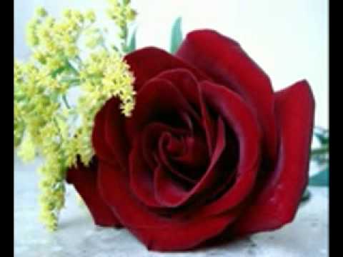 Feliz dia dos namorados