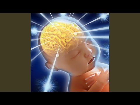 La Lobby Delle Mascherine