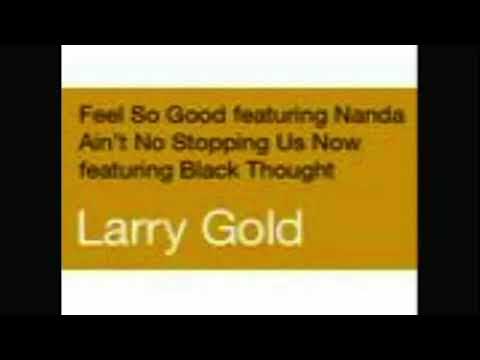 Feel So Good - Larry Gold feat. Nanda aka WanGi