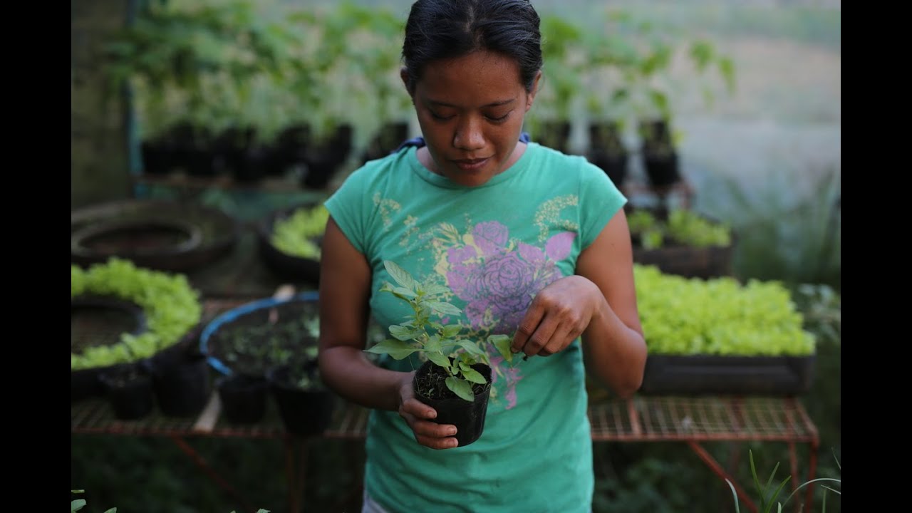 Building Climate Resiliency in the Philippines