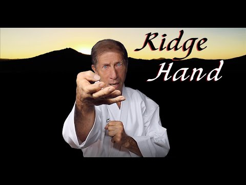 Martial Arts Lesson in One Minute: Ridge Hand Attack
