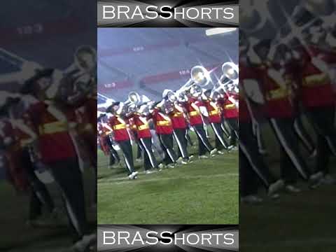 BRASShorts 31
