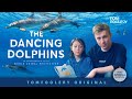 The Dancing Dolphins - A film by Tomfoolery