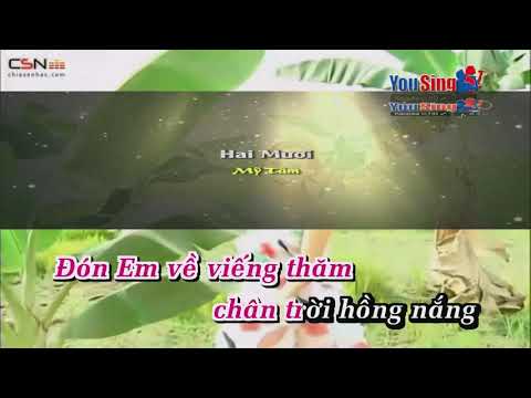 20 (Hai Mươi) - Mỹ Tâm Karaoke Dlkara(1)