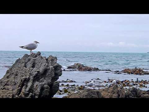 12/12/12 12/21/12 Doomsday Rapture?