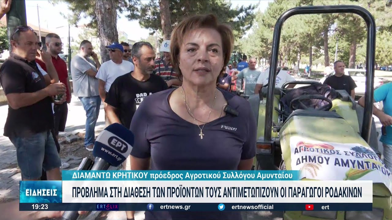 Κραυγή αγωνίας από τους ροδακινοπαραγωγούς στη Μακεδονία | 09/08/2022 | ΕΡΤ