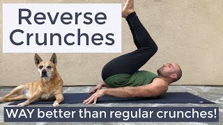 Workout for Abs and Core: Reverse Crunches with Antranik