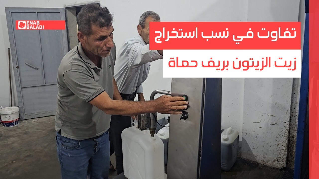 تفاوت في نسب استخراج زيت الزيتون بريف حماة