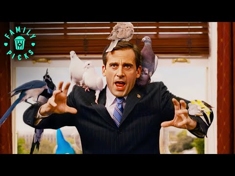 Animals Flock to Evan | Evan Almighty