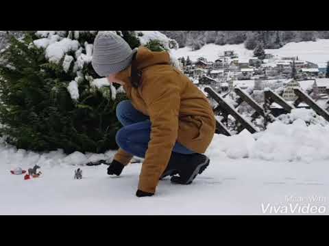 Adventsvideo 7. Dezember