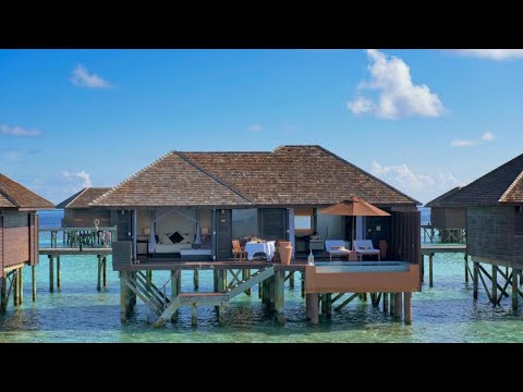 Videos del Lily Beach Resort Spa 5★ en Dhangethi, MaldivasVer MásVerPrecios19CerrarConsulta por Whatsapp 🇦🇷BookingTripadvisorExpediaAgodaTravelocityOrbitzPricelineTripSkyscannerDespegarKayakHotelesDestiniaTrivagoTurismocityLastminuteHotwireTuiWotif