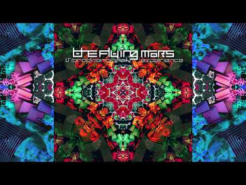 THE FLYING MARS - Vitamin