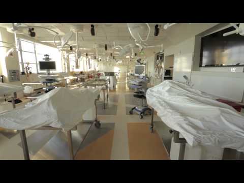 Donating Your Body to Science