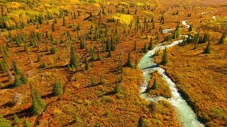 Brookie Quadcoptering Alaska - Autumn 2016