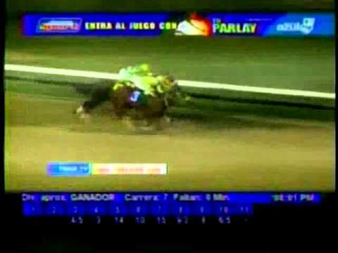 Resumen Viernes, 22 de Junio de 2012 - Valencia