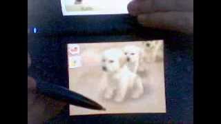 HELP NINTENDOG DOESNT DO BACKFLIP