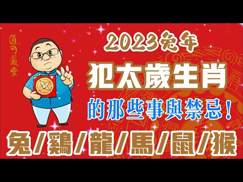 2023偏沖