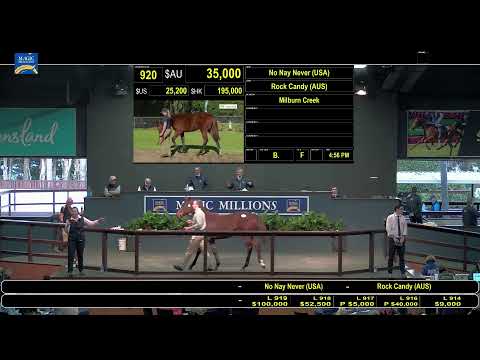 2020 Gold Coast National Weanling Sale Day 1