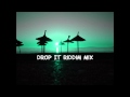 Drop It Riddim Mix 2013 