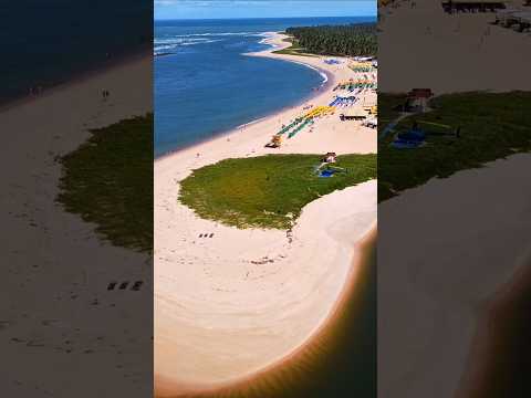 Praia do Gunga em Alagoas #shorts