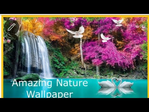 Amazing Nature Wallpaper Ideas hd Beautiful Nature Wallpapers