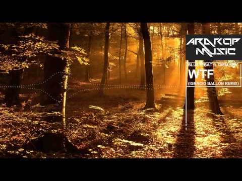 Blusterbat ft. Diem Key - WTF (Ignacio Ballon Remix) [Free DL]