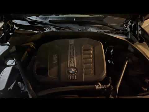 BMW N57 Kette oder Lagerschaden?