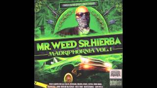 Mr. Weed Sr. Hierba 