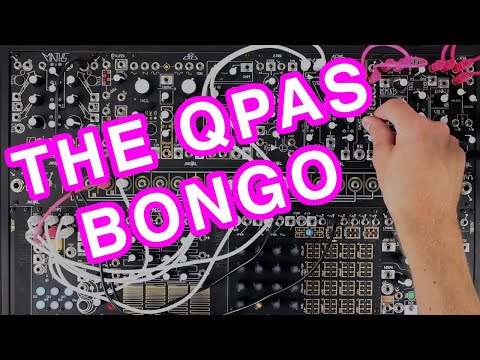 The QPAS Bongo