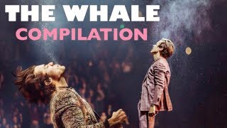 HARRY STYLES THE WHALE COMPILATION