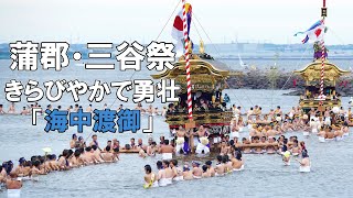 海の中で勇ましく山車を引く氏子＝三谷温泉前海岸で