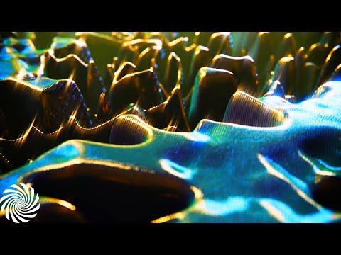 BUS - Sanctuary (Gus Till Tech Remix)